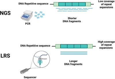 Uncovering Essential Tremor Genetics: The Promise of Long-Read Sequencing